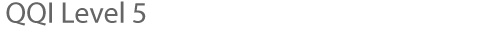 QQI Level 5